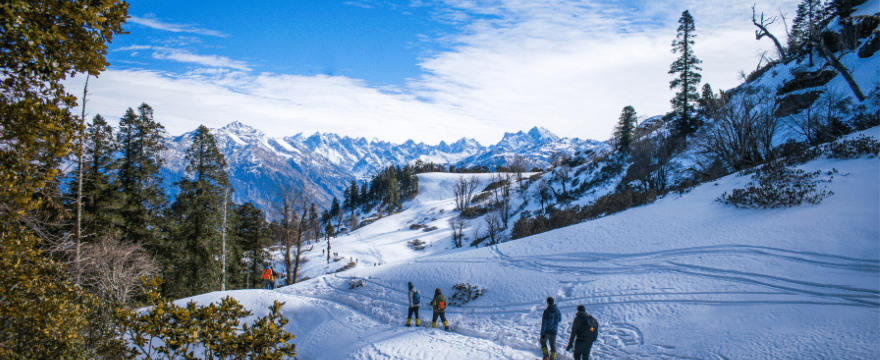 Manali Winter Package