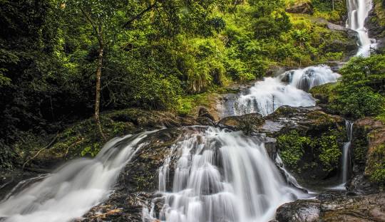 Coorg- Wayanad- Bangalore