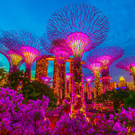 Singapore 3Nights with Garden by the bay