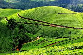 Beautiful Kerala