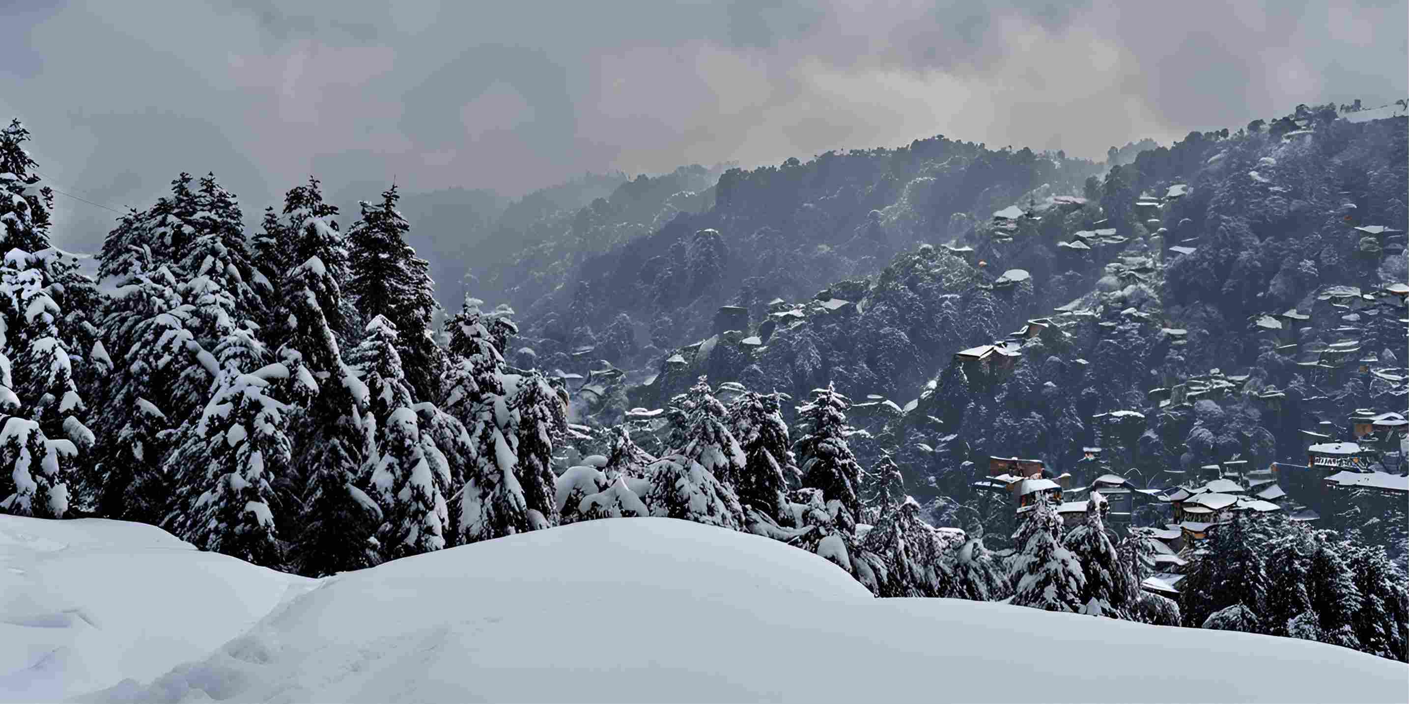 Shimla