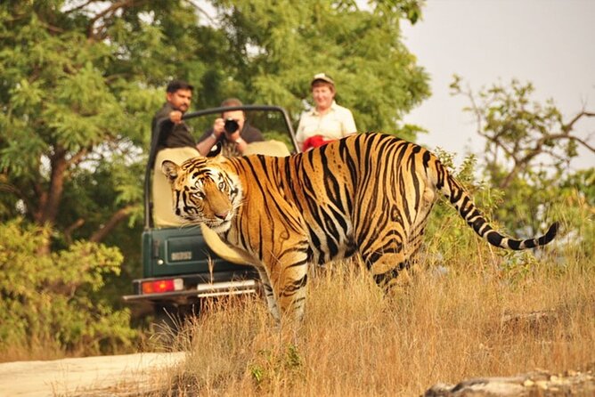 Golden Triangle Tour with Wildlife