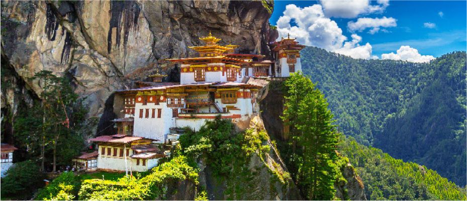 Tiger Nest
