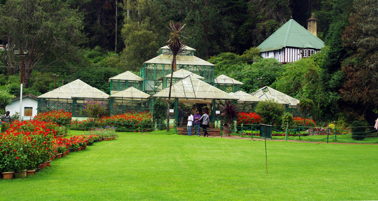 A Pristine Ooty Tour Package