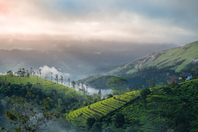 Kerala Tour