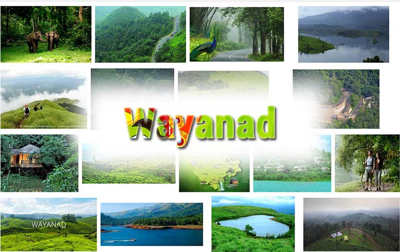 Amazing Wayanad 2N 3D