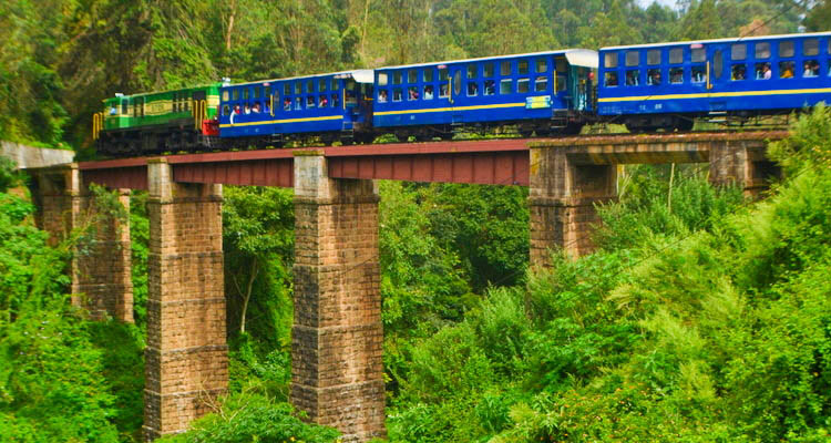 Coorg Ooty 4N 5D