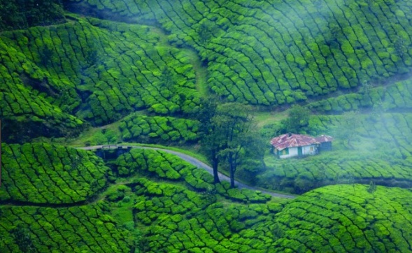 Ooty Wayanad 4N 5D