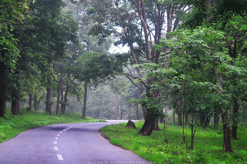 Ooty Coonoor Wayanad Coorg Mysore 6N 7D