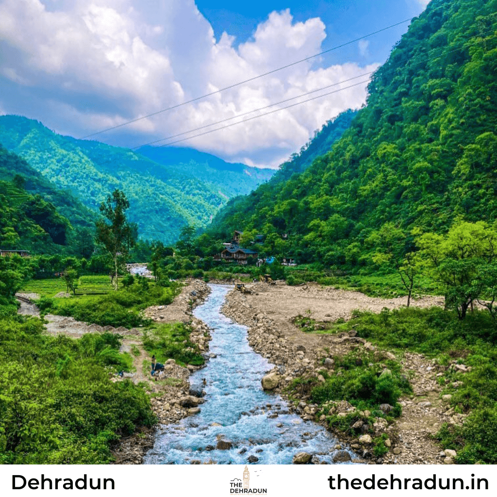 Dehradun Delights