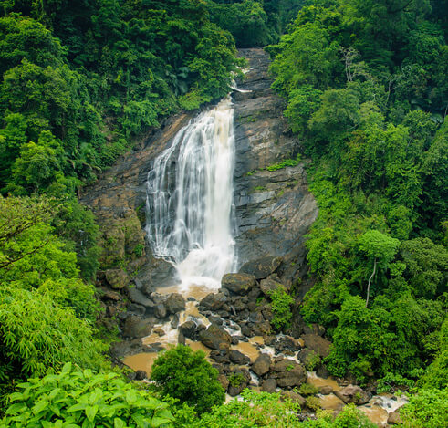 Exotic Kerala Vacation