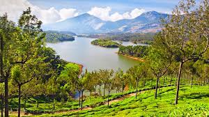 kerala and munnar