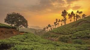 kerala and munnar