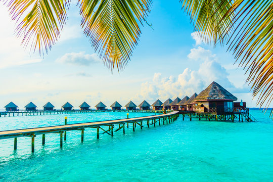 Maldives Local Tour Package