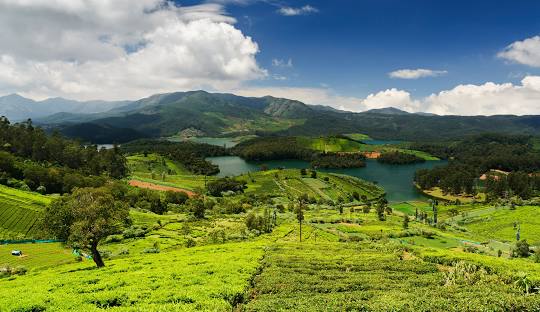 Awesome Coorg & Ooty Vacation