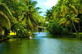 Top 5 Nights 6 Days Kerala Family Tour Packages For A Refreshing Getaway