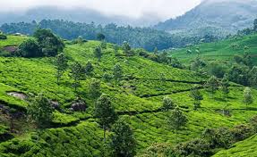 Explore The Best Of Southern India With Our Kerala Tour Package
