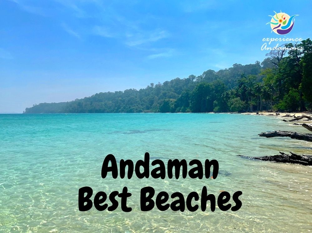 Andaman Tour Package 04 Nights  05 Days