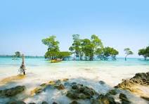 A Blissful Romantic Tour To Andaman Island 4 Days & 3 Nights