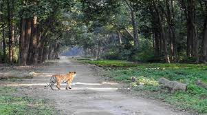 Jim Corbett