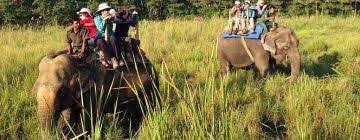 Jim Corbett