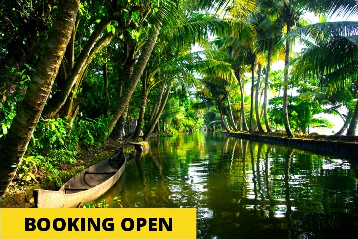 Senior Special Exotic Kerala