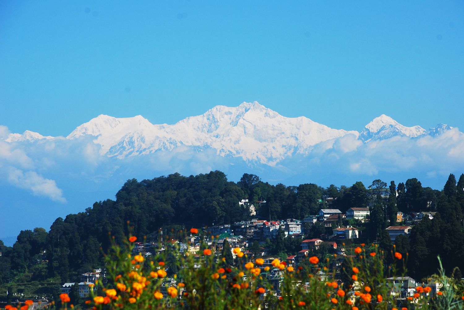 Luxury Gangtok and Darjeeling - 4N - 5D TP
