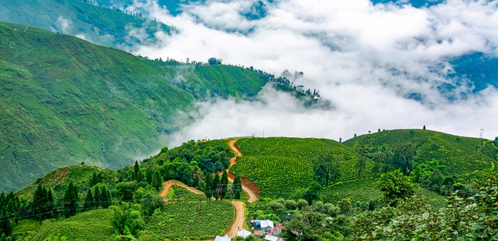 Beautiful Gangtok and Darjeeling - 5N - 6D TP