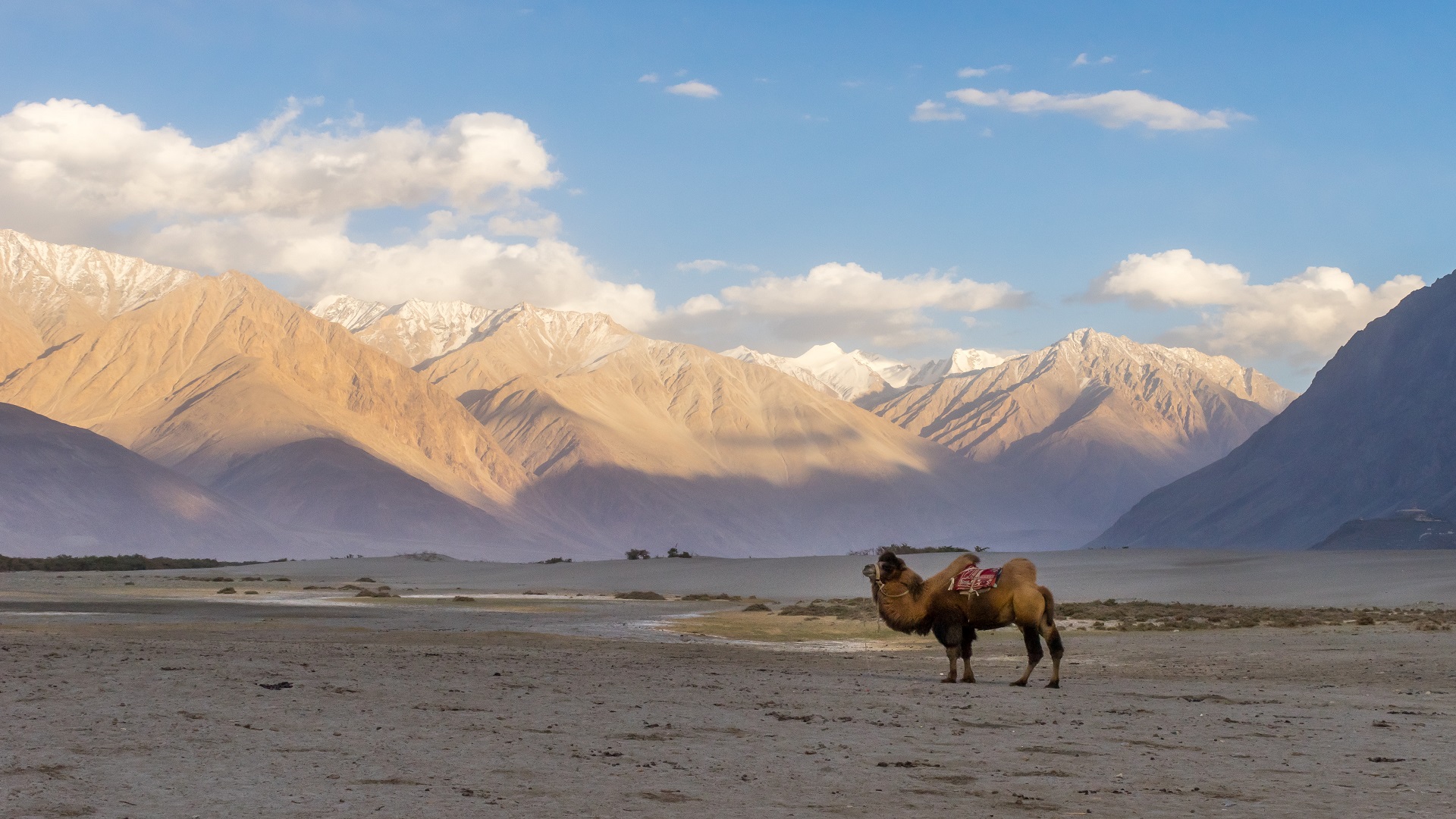 05D Nubra Valley and the Moonland