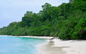 Andaman Tour 5 Night 6 Day