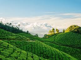 Munnar