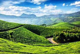 Thekkady