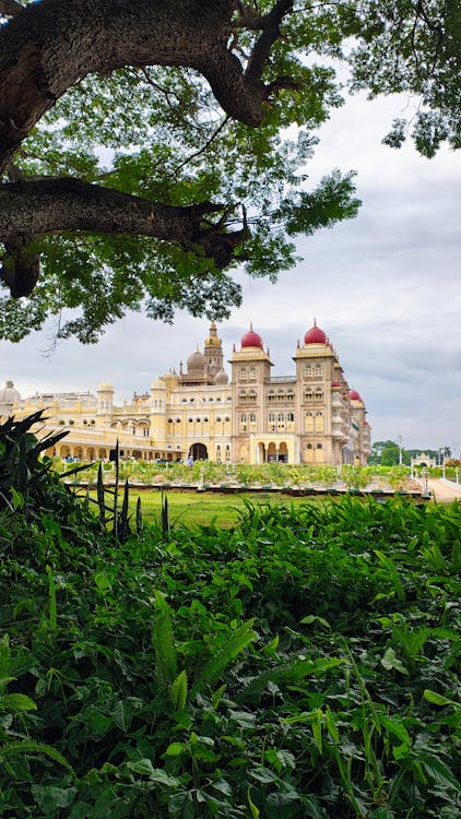 Mysore