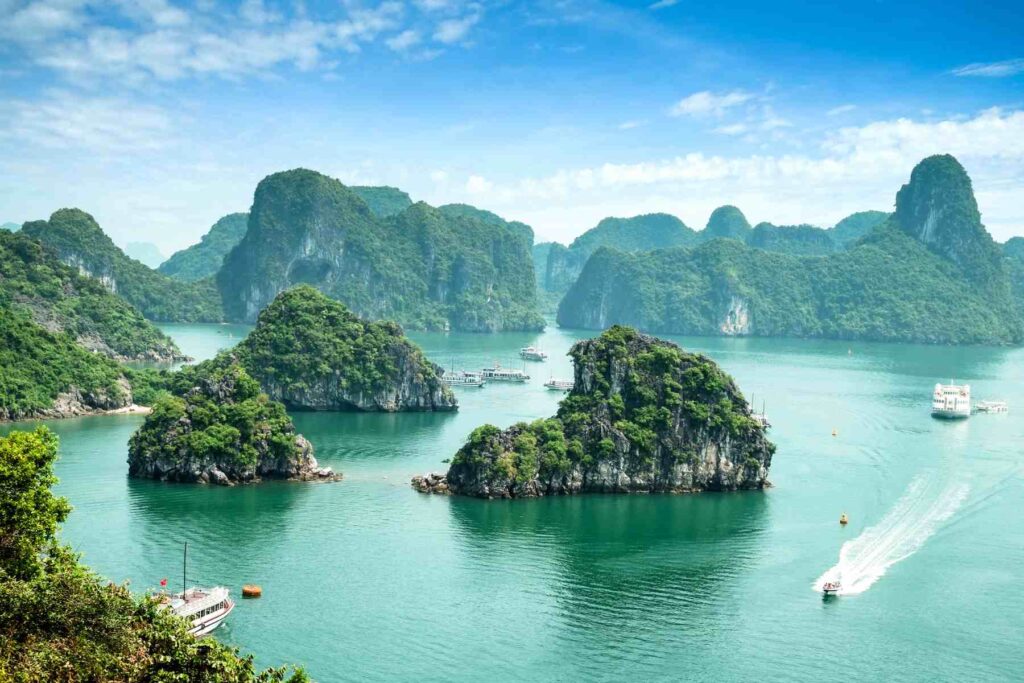 Taste of Vietnam