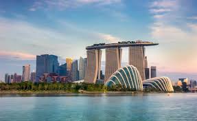 Singapore Delight