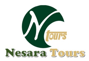 Nesara Tours