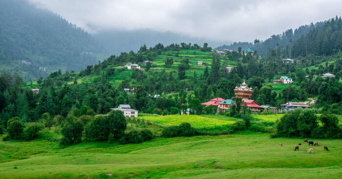 Hill Station Holiday Packages