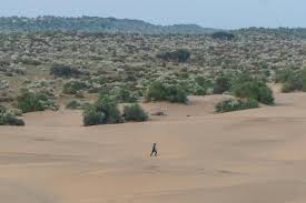 Desert Trails