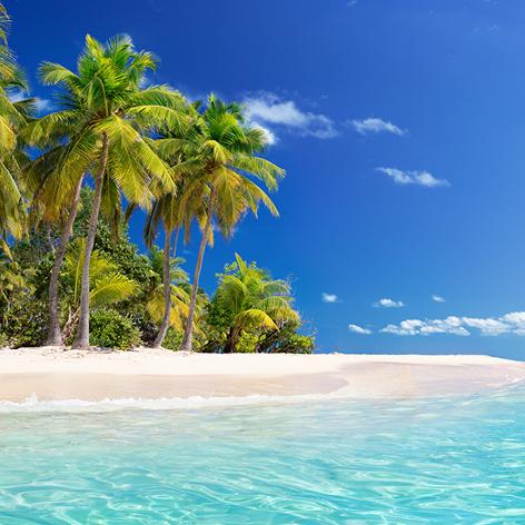 Beach Holiday