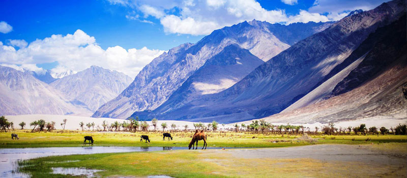 Exploring the Enchanting Beauty of Nubra Valley: A Gateway to Ladakh's  Serene Paradise - World Travel Magazine - Medium