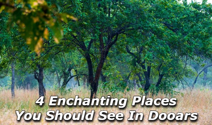 4 Enchanting Places You Should See in Dooars