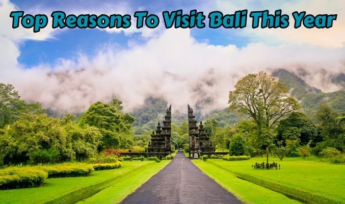 Top Reasons to Visit Bali This Year