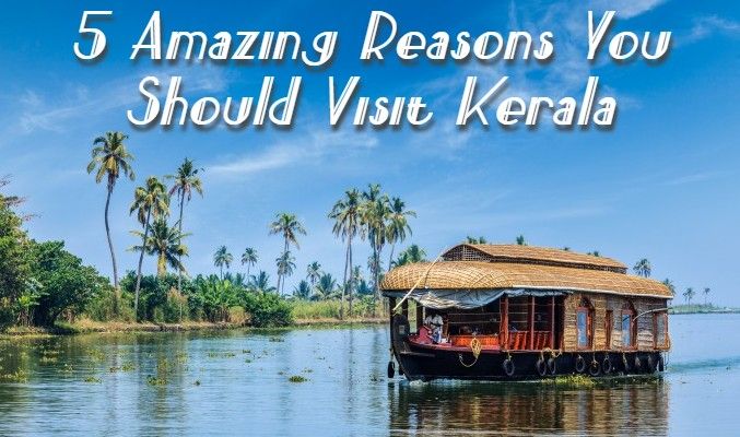 5 amazing reasons you should visit Kerala