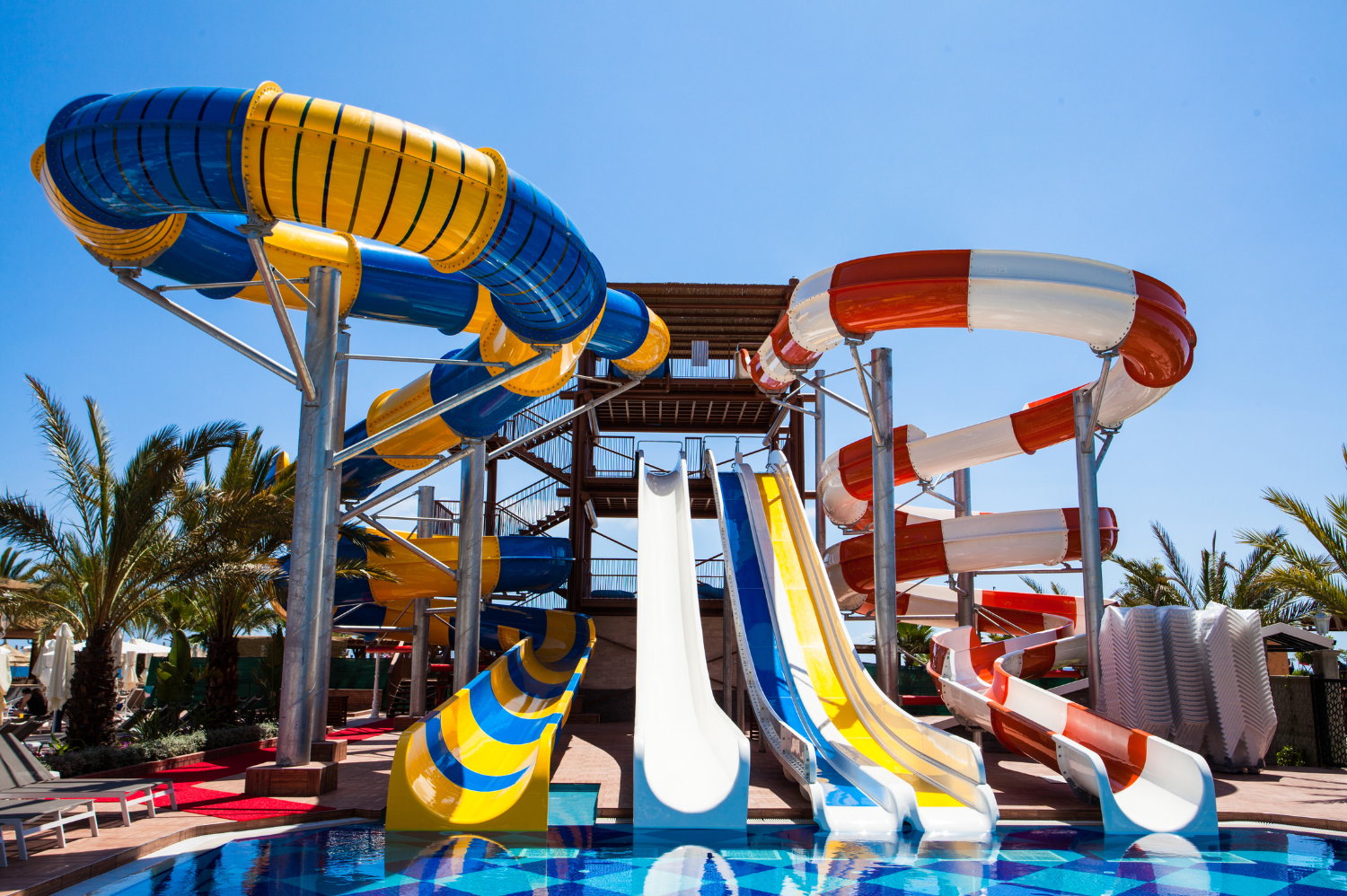 Adventure Cove Waterpark