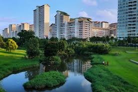 Top 5 Things to Do at Bishan-Ang Mo Kio Park