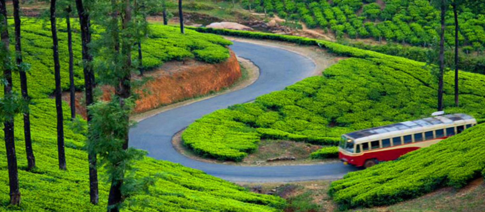 Kerala Family tour packages