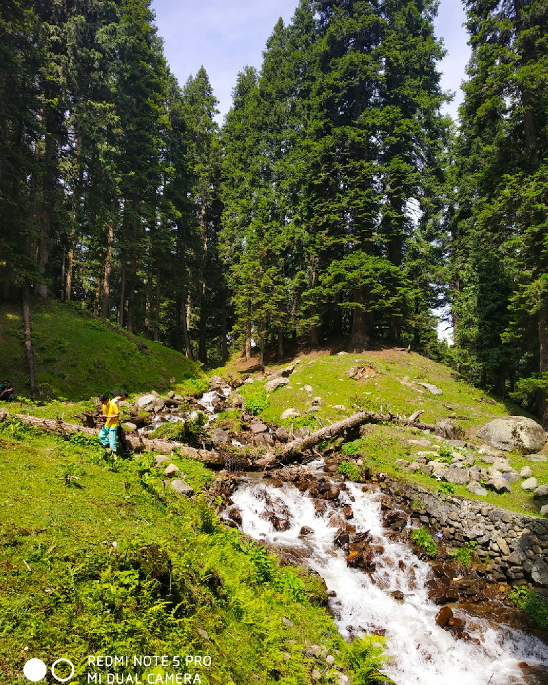 Kashmir