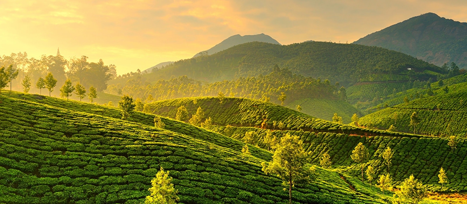 Kerala Tour Packages For Family