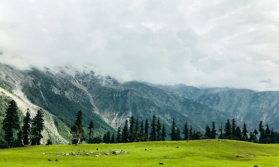 Himachal Packages