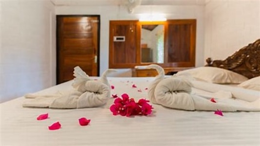 Emarald Wild West Resort-Wayanad